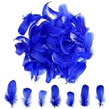 300pcs Blue Feathers 2-3 Inches Bulk Feathers for
