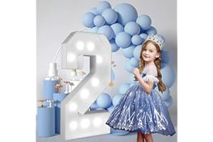 FAYLISVOW 2.4FT/28.74in Marquee Light up Numbers Marquee Number 2 with White Lights for Birthday Party Large Mosaic Frame Letter Cardboard Pre-Cut Giant Cut-Out Thick Foam Board Sign DIY Decorations