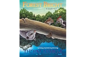 Forest Bright (Age 3-8)