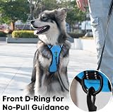 PoyPet No Pull Dog Harness Reflective Vest with 2 Leash Attachments (Blue, L) view 3