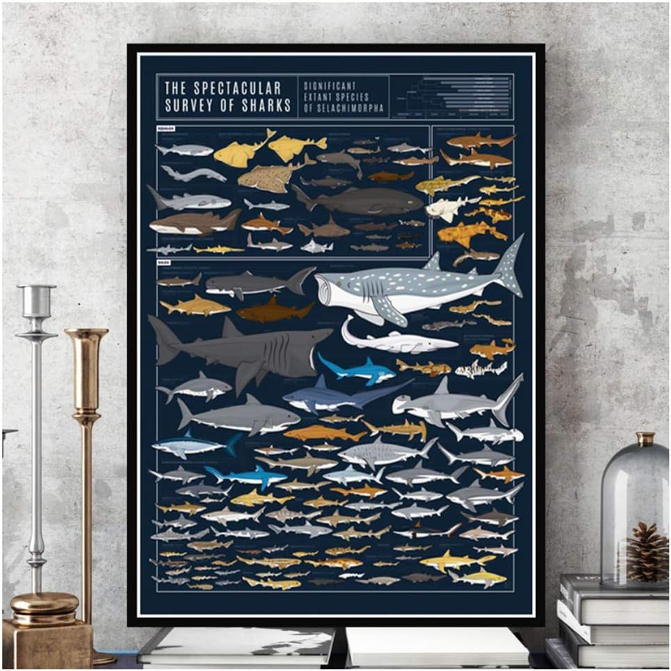 New The Specacular Survey of Sharks Animal Chart Poster Prints Canvas Art Oil Painting Wall Pictures70X100cm Without Frame