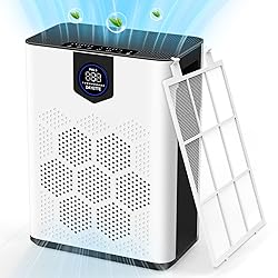 DAYETTE Air Purifiers for Home Large Room, H14 True