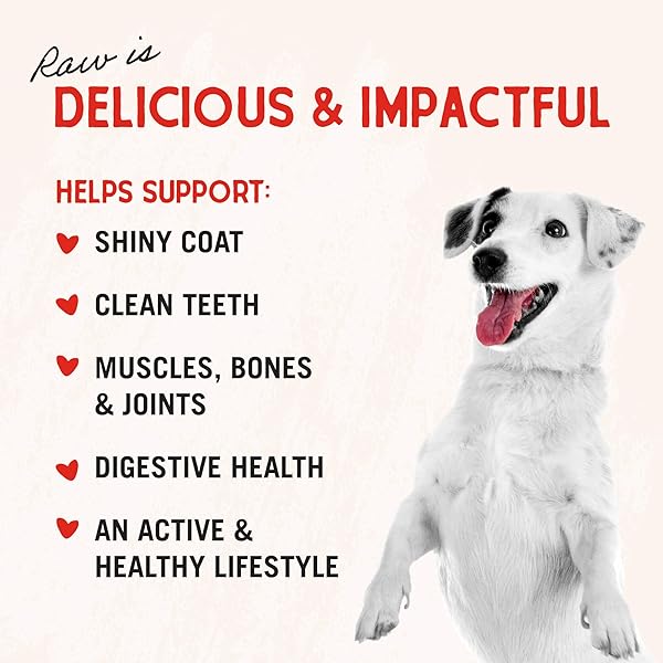 STELLA & CHEWY’S FREEZE-DRIED RAW LAMB HEART DOG TREATS – SINGLE INGREDIENT, NO ADDITIVES – PREMIUM TRAINING TREATS – PERFECT FOR PICKY EATERS – 3OZ BAG
