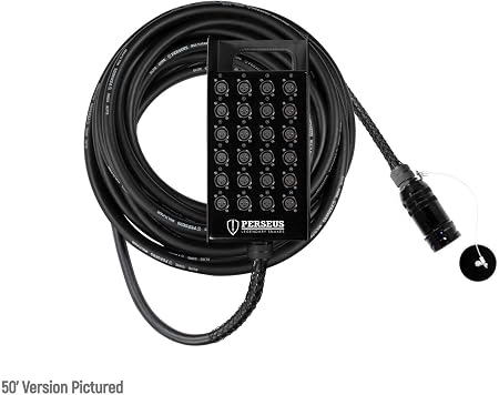Amazon Co Jp Elite Core Perseus Pers24 B Amp 50 24チャンネルボックス Amphenol Mp 41 マルチピン 50フィート スネーク 家電 カメラ