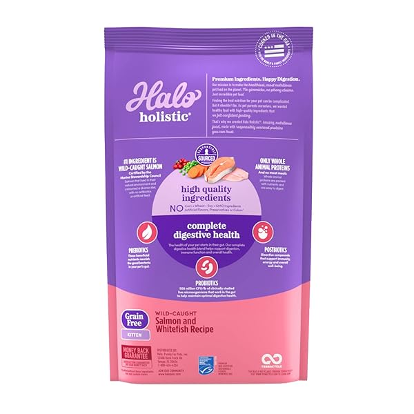 HALO HOLISTIC KITTEN FOOD, WILD CAUGHT SALMON & WHITEFISH RECIPE, GRAIN FREE DRY CAT FOOD, COMPLETE DIGESTIVE HEALTH, 6 LB BAG