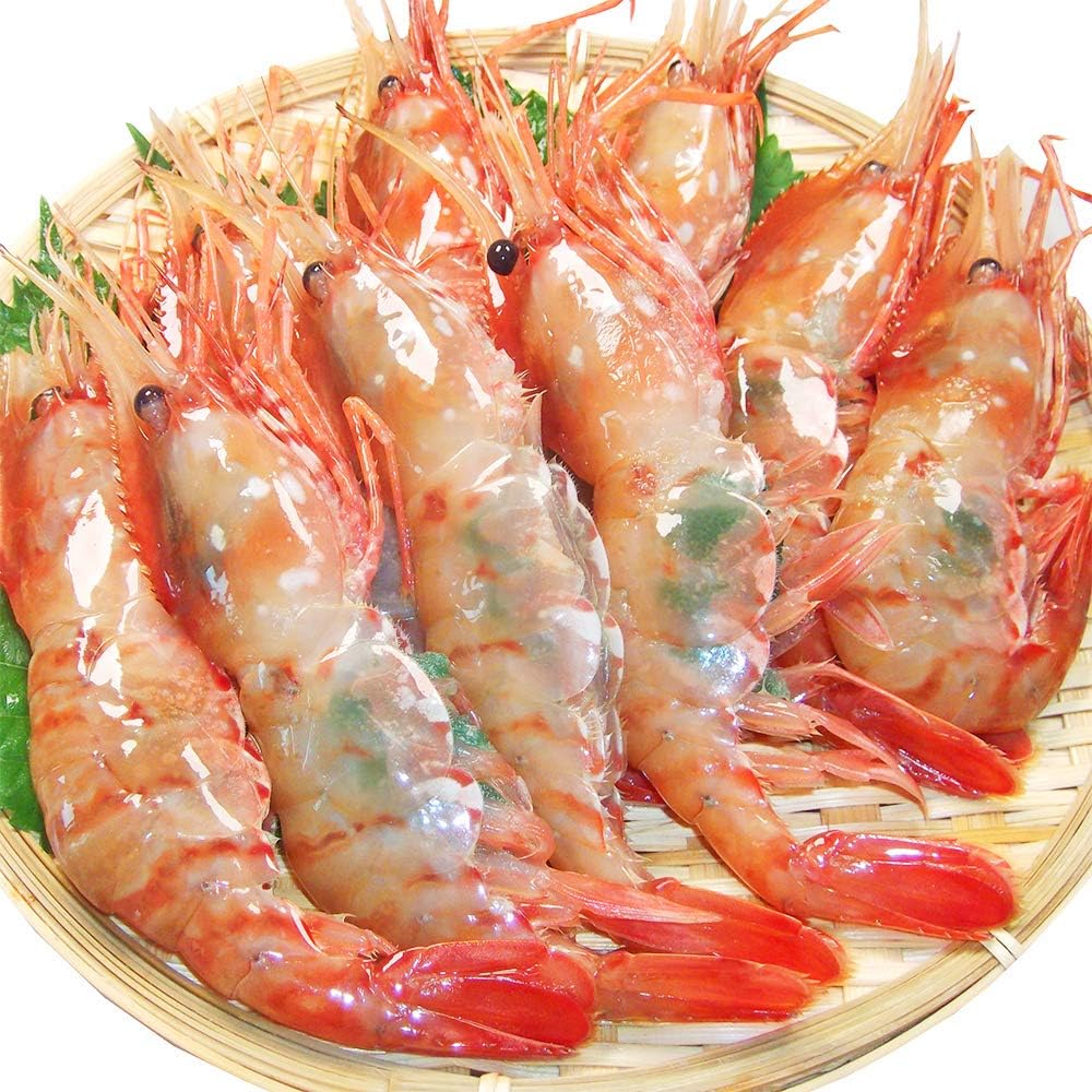 Amazon 刺身用 特大18cm 子持ち 活〆 ボタンエビ 生食用 天然 無添加 ギフト 500g約9尾 はせがわ食品 エビ 通販