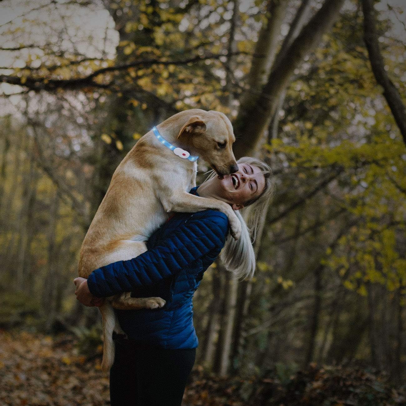 Klassische Halsbänder Hundehalsband Leuchtend USB Wiederaufladbar Led