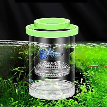 acrylic fly fishing box Fishpond Tacky Pescador Large Fly Box  Tactical Fly Fisher