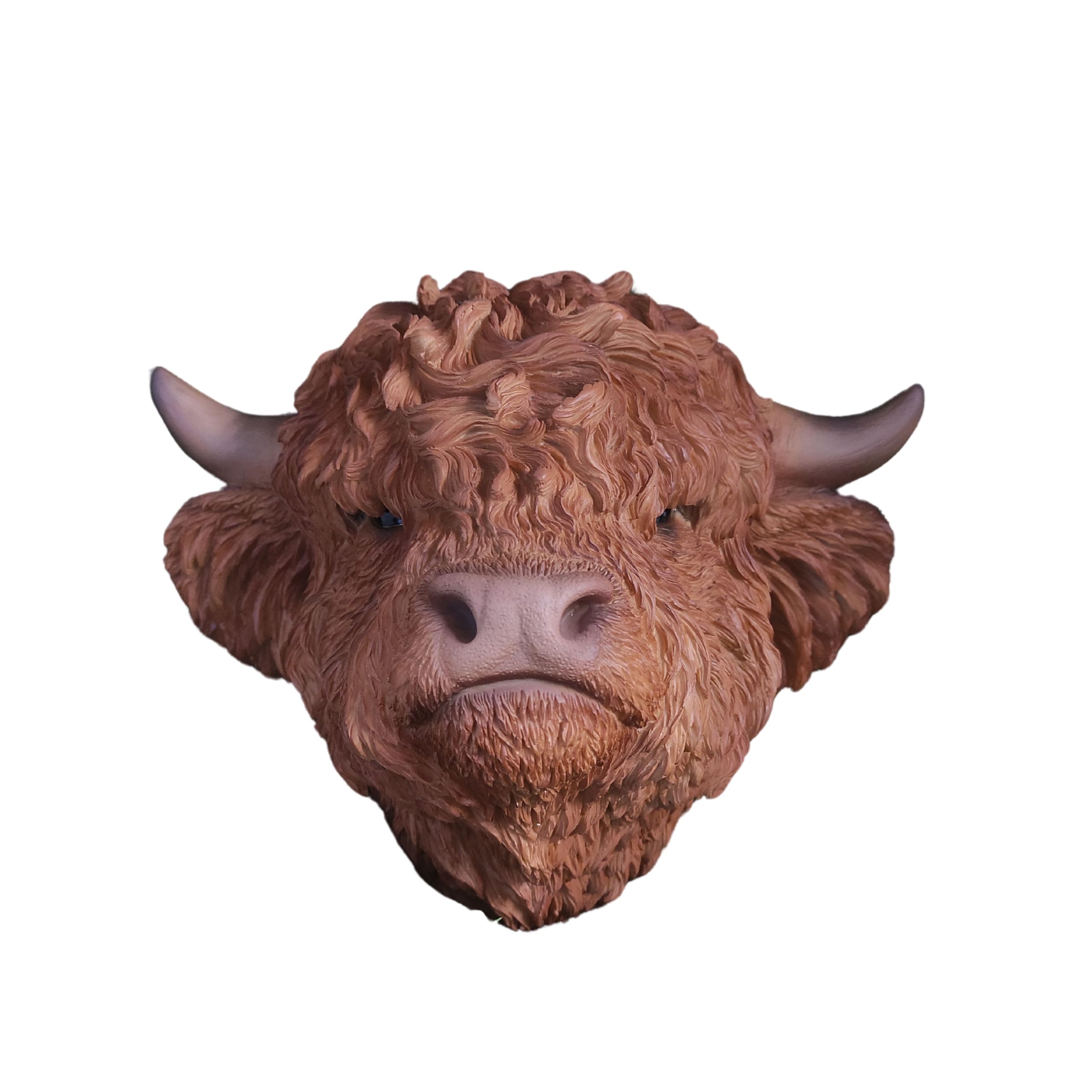 Vivid Arts - Highland Cattle Wall Planter - BS-HCWP-D