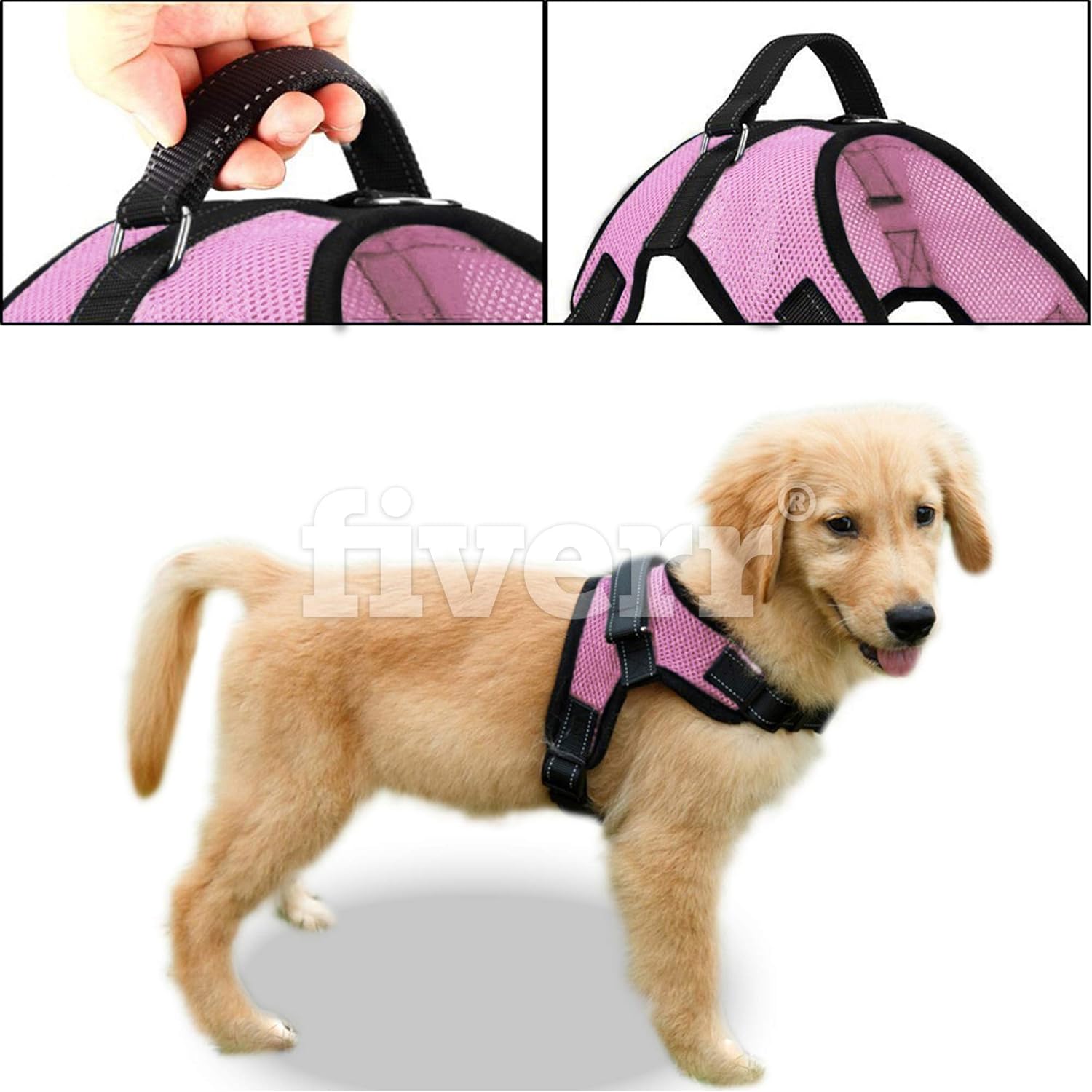 copatchy harness instructions