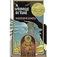 A Wrinkle in Time (A Wrinkle in Time Quintet, 1)