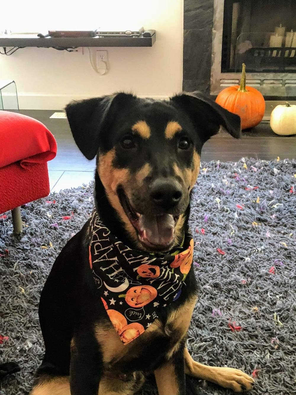 KZHAREEN 4 PCS/Pack Halloween Dog Bandana Pumpkin Reversible Triangle Bibs Scarf Accessories for Dogs Cats Pets Large : Kitchen & Dining