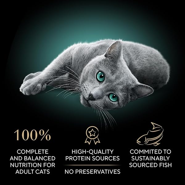 SHEBA PERFECT PORTIONS WET CAT FOOD CUTS IN GRAVY WITH SUSTAINABLE SALMON, 2.6 OZ. TWIN-PACK TRAY