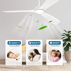 Depuley 60" Modern Ceiling Fan with Lights and