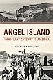 Amazon Com American Passage The History Of Ellis Island