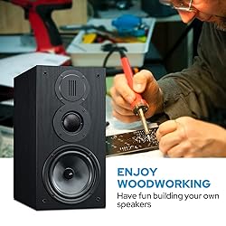 HiVi-Swans DIY 3 Way Passive Bookshelf Speakers