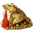 BOYULL Brass Feng Shui Money Frog Statue with Lucky Charm Ancient Coins on Red String,Feng Shui Decor