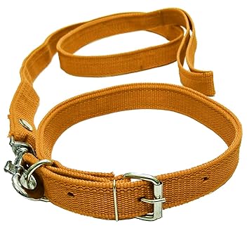 VRCT 1.25 Inch Designed Dog Collar Belt, 1.5M-2M LENGTHY Dog Dog Collar & Leash (Medium, Multi Color)