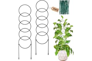 OYOEETD 17.5 Inch Plant Trellis Indoor for Climbing Plants,Metal Trellis,Small Garden Trellis for Potted Plants,Plant Stakes for Indoor Plants Accessories Hoya,Flower,Plant Support,Plant Gifts(Circular-Metal)