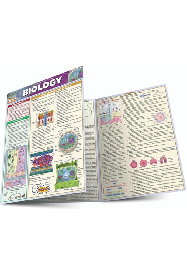 Biology Terminology QuickStudy Laminated Reference Guide