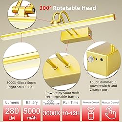 RAIFOOLLY Picture Light,16in Wireless Battery Wall