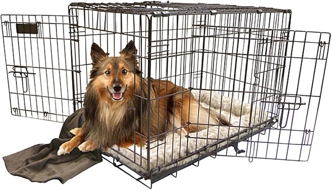 Precision Pet 6000 Gran caja mascota de la perrera: Amazon.es: Electrónica