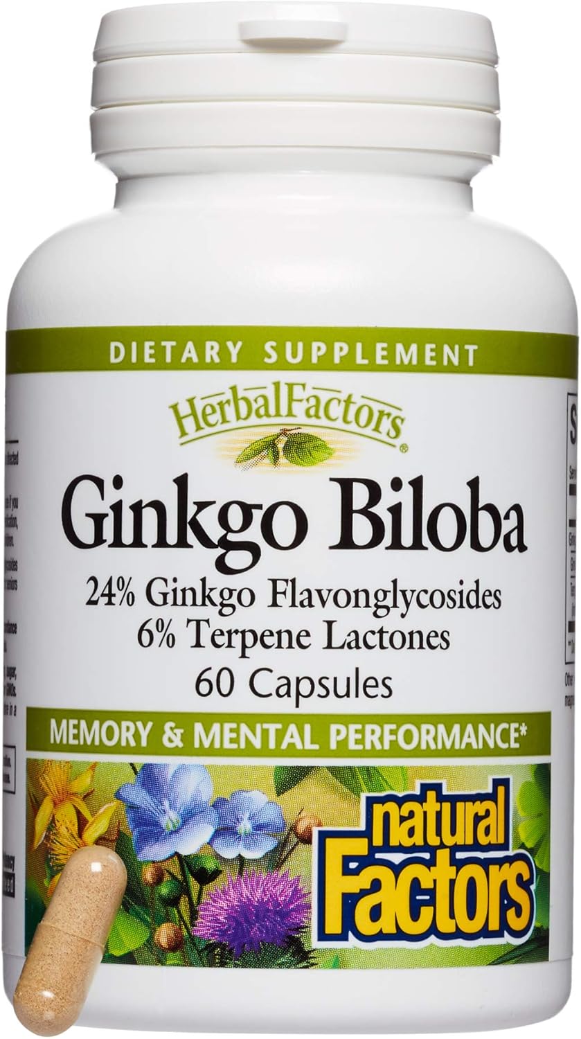 HerbalFactors by Natural Factors, Ginkgo Biloba, Supports Memory, Mental Performance and Healthy Brain Function, 60 capsules (60 servings): Health & Personal Care