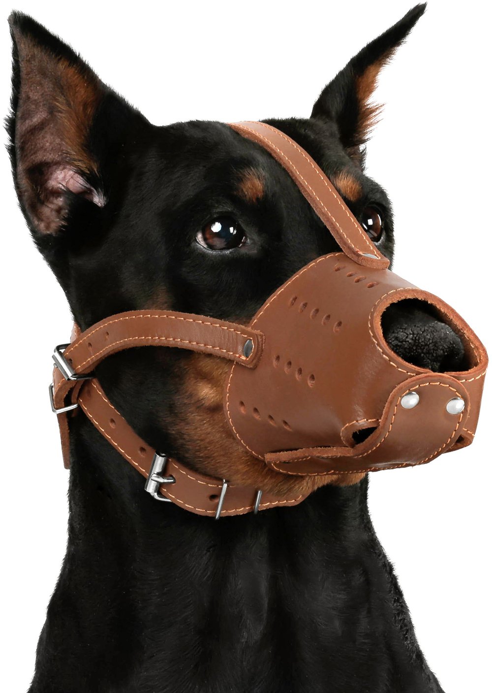 birdwell enterprises muzzles
