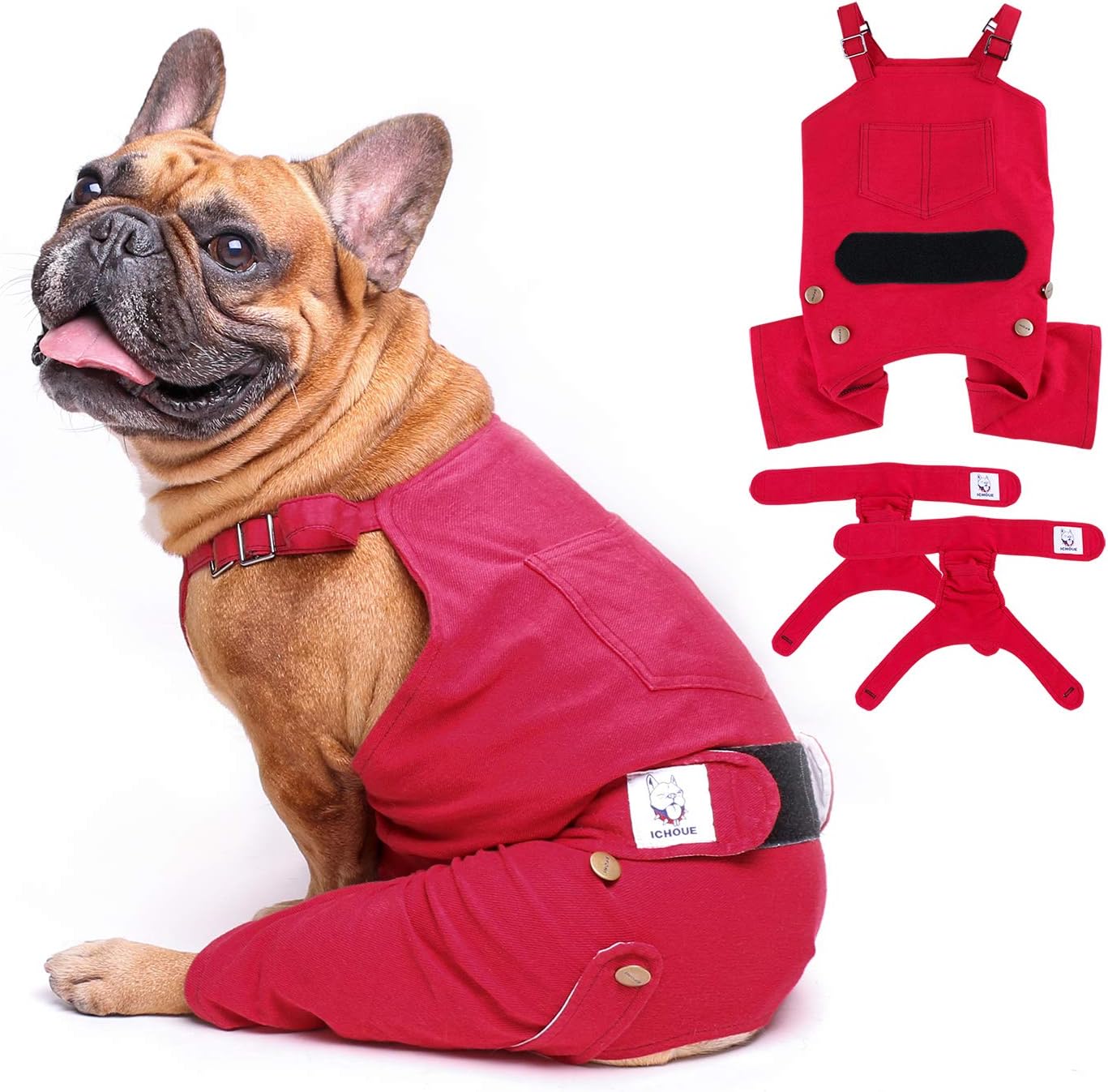 dog diapers that stay on female