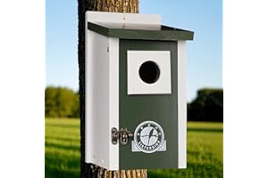 SISTERBIRD Bird Houses for Outside, Dark Green Bird House, Bluebird Houses for Outside, Garden Decoration Birdhouses for Outdoors, Bluebird Finch Swallow Wren Chickadee