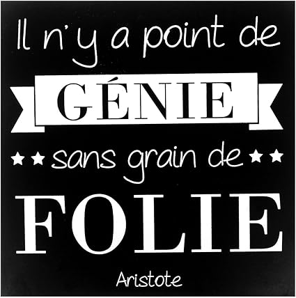 Promobo Tableau Toile Cadre Citation Aristote Genie Sans Grain De Folie Noir 25 X 25cm Amazon Fr Cuisine Maison
