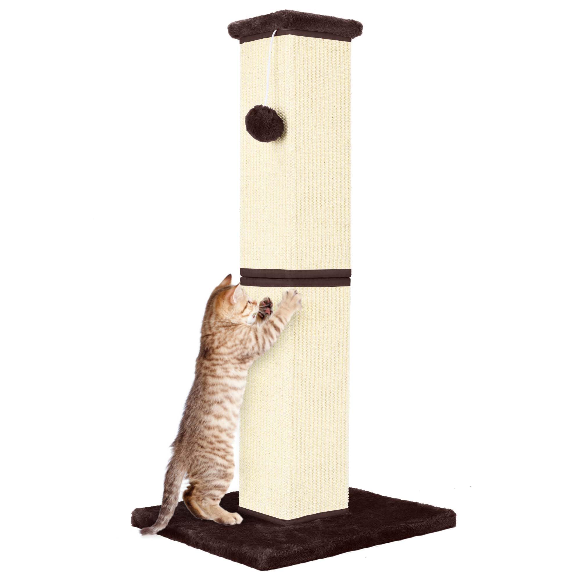 A closer look at Protecting Cat Scratching Posts From Damage