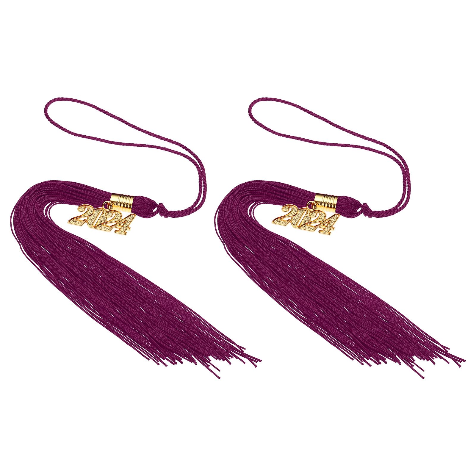 PATIKIL 2 Pcs Graduation Tassel with 2024 Gold Charm, Graduation Cap Tassel 2024 Year Graduation Tassels for Graduation Party Ceremonies Souvenir, Date Red