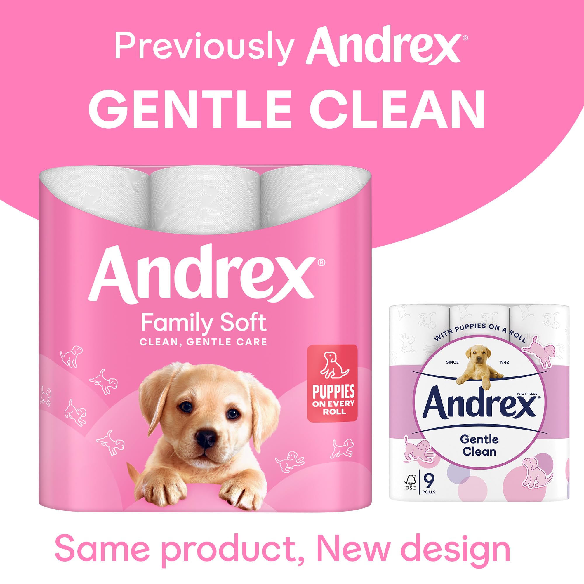 Andrex Family Soft Toilet Tissue 72 Rolls (Previously Andrex Gentle Clean) Gentle on your Family’s skin– Bulk Pack of 72 Toilet Rolls, FSC Certified