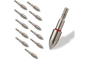 Hosolee 100 Grains ID 6.20mm/0.244inch Arrowheads 19/64” Archery Screw-in Field Points Stainless Steel Tips with O-Ring for Targeting Hunting (Pack of 12)
