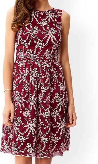 monsoon amelia dress