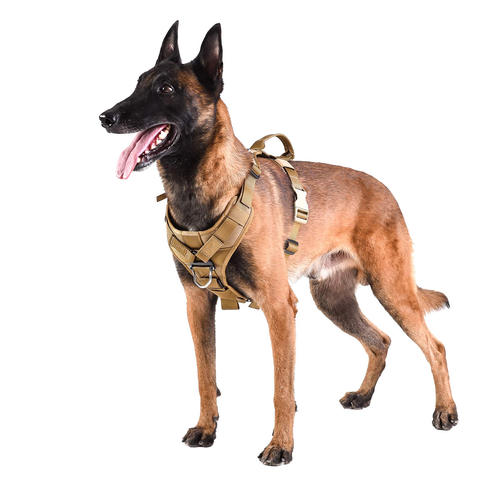 Amazon Icefang Tactical Dog Harness Xl ICEFANG Tactical Dog Strap