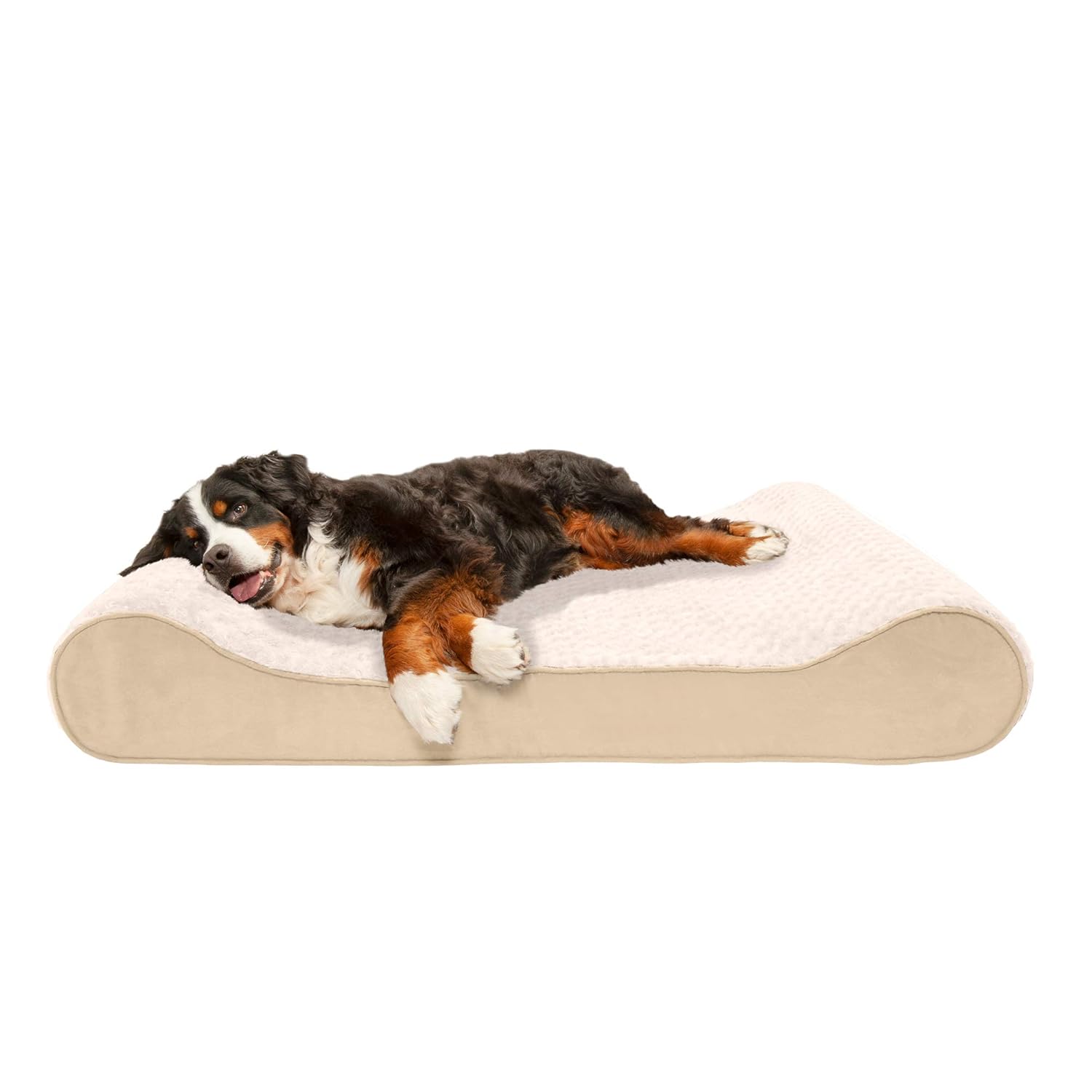 ergonomic dog bed