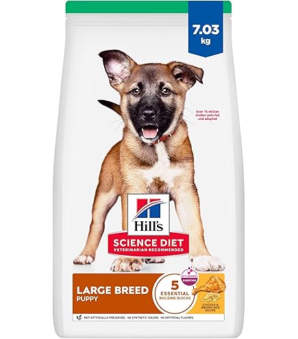 Acana Adult Large Breed Dog Food 11.4kg : Amazon.ca: Pet Supplies
