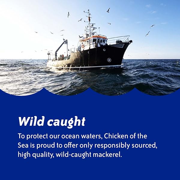 CHICKEN OF THE SEA CHUB MACKEREL IN BRINE, 15 OUNCE CAN (PACK OF 1), HIGH IN CALCIUM, WILD CAUGHT CANNED MACKEREL