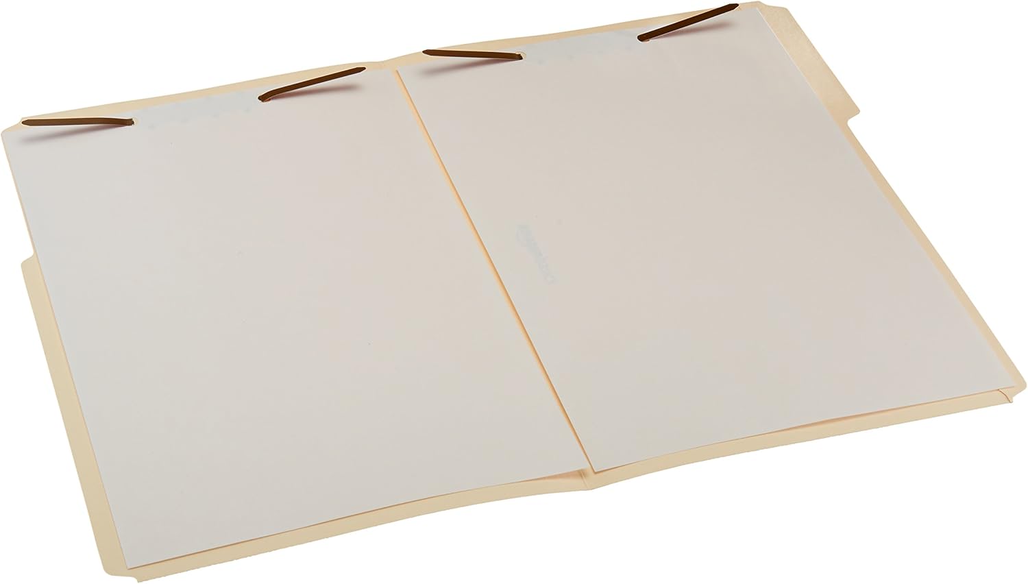 Basics AMZ201 Manila File Folders with Fasteners - Letter Size, 100-Pack : Office Products