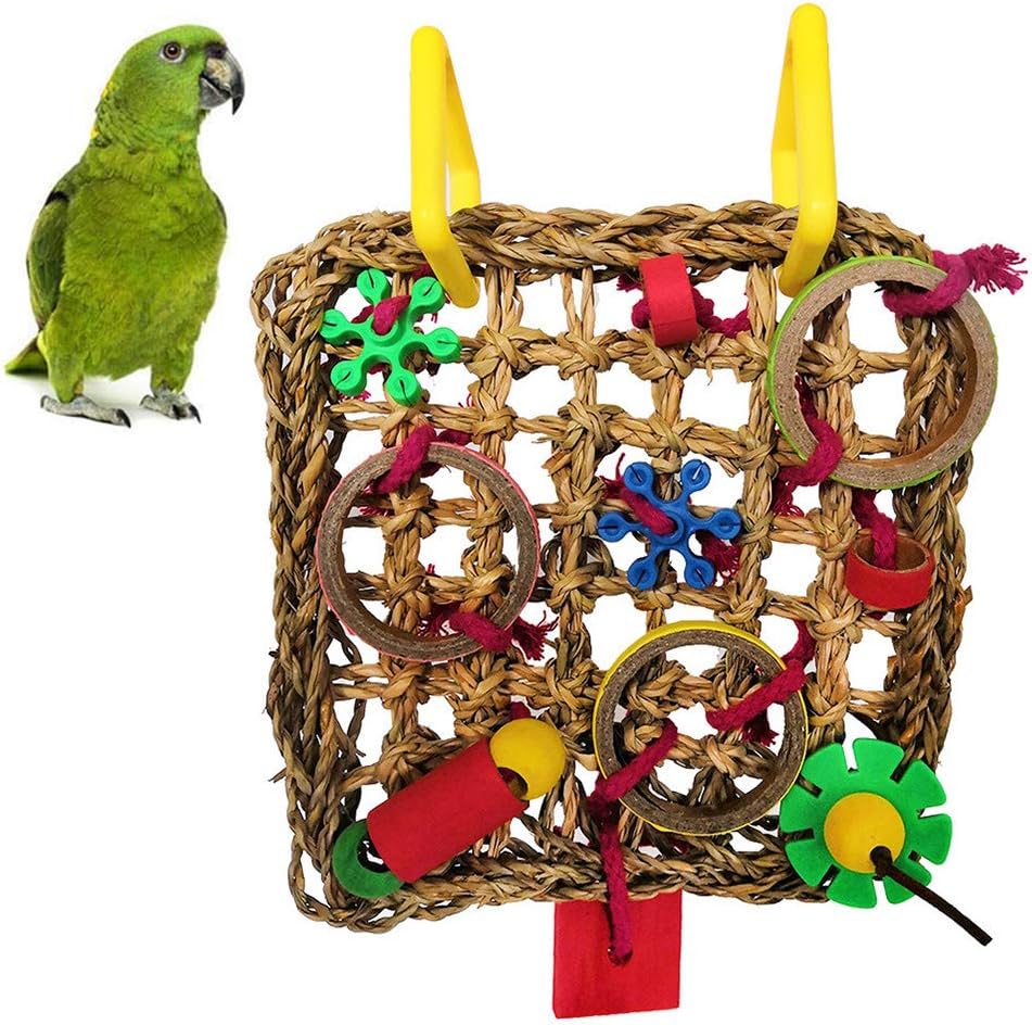 pet bird supply store