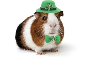 SEZDEKI Guinea Pig Saint Patrick's Day Hat Bow Tie Set Small Animal Irish Green Top Hat with Shamrock Décor St.Patrick's Day Costume Accessories for Rabbit Bunny Ferret Bearded Dragon Puppy Kitten