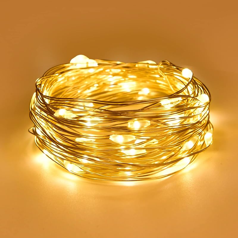 Dalugo Fairy Lights Battery Operated 2m 20 LED Copper Wire Warm White