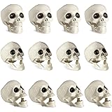 71qOpjo+HuL. AC UL160 SR160,160 Do Voodoo Curses Exist? What You Should Know