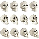 SUNREEK 12 Pieces Halloween Skulls, Realistic Looking Skulls Human Skeleton Head Skull for Halloween Bar Home Table Decoration (1.4 * 1.8 * 2.2 Inches)