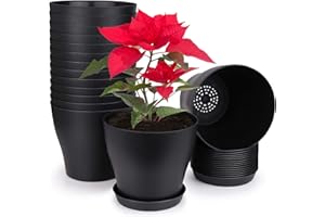 homenote Plant Pots, Set of 15 Plastic Planters with Multiple Drainage Holes and Tray 6 inch Indoor Plant Pot for All Home Garden Flowers Succulents (Black)