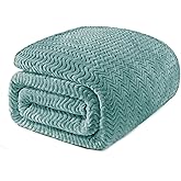 Exclusivo Mezcla Twin Blanket for Bed, Cozy Lightweight Fleece Blankets for All Season, Decorative Giftable Fuzzy Plush Wave Textured Suitable for Women, Men, Celadon, 90x66 Inches
