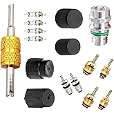 Downhill 16 PCS Air Condition Valve Core Kit, R134A A/C Ducts Pressure Caps and Service Valves, Universal AC System Charging Port Maintain Accessories, for Most Cars, Trucks, SUVs (Black)