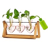 XXXFLOWER Plant Terrarium Propagation Stations Unique Gifts for Women Wife Mom Plant Lovers 3 Heart Shaped Vases for Hydroponics Home Garden Office Decor(Plants NOT Included)